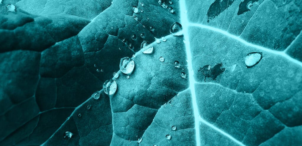 The Futurum Group Sustainability, Policy, and Markets